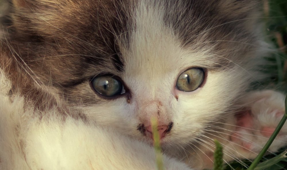 Photograph by Наталья Шалкевич