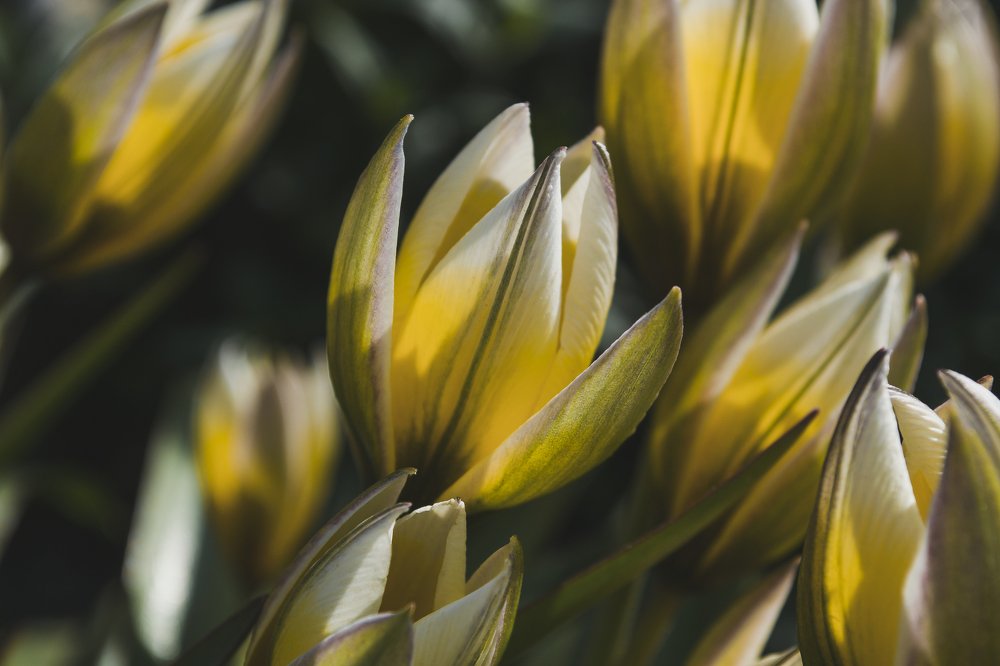 Photograph by Елизавета Большакова