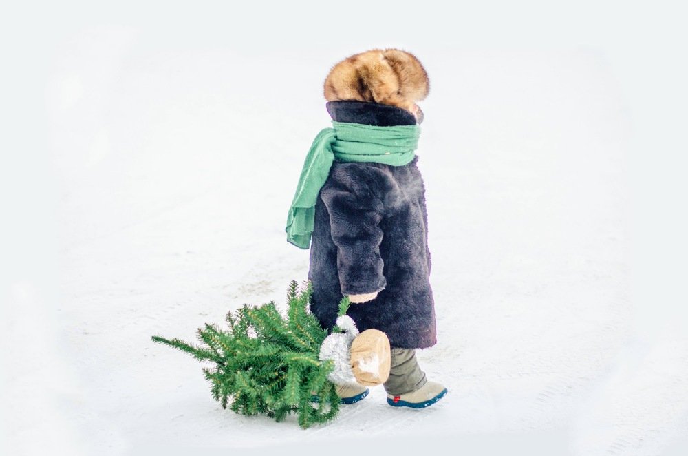 Photograph by Анастасия Тетерина