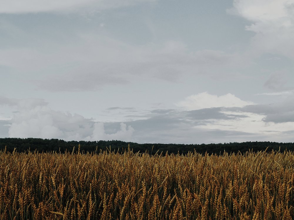 Photograph by Матвей Павлюкевичус