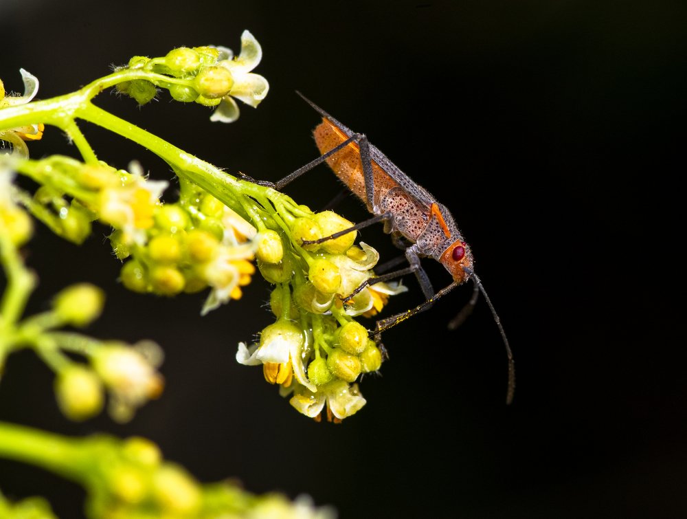 Photograph by Deryl Varela Cienfuegos