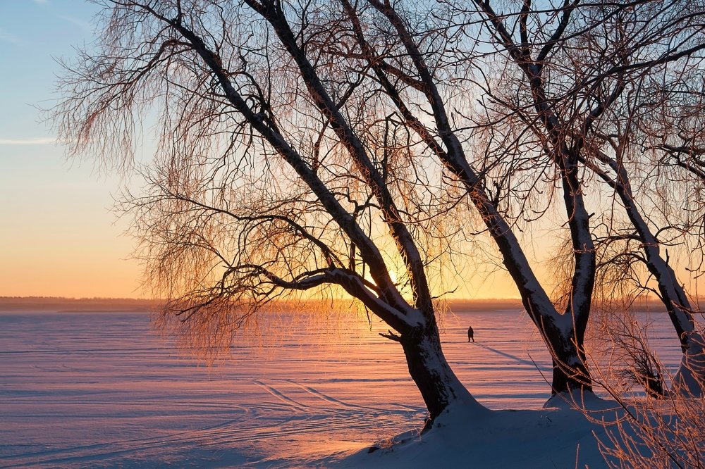 Пришла зима