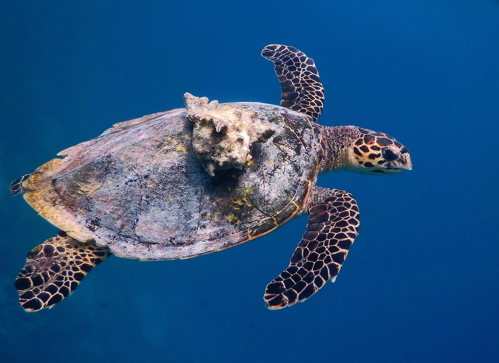 Photograph by Наталия Щербина