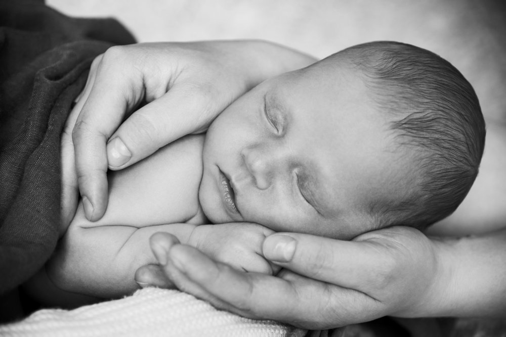 Photograph by Lara Noel