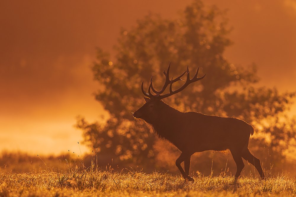 Фотография автора Wieńczysław Rak