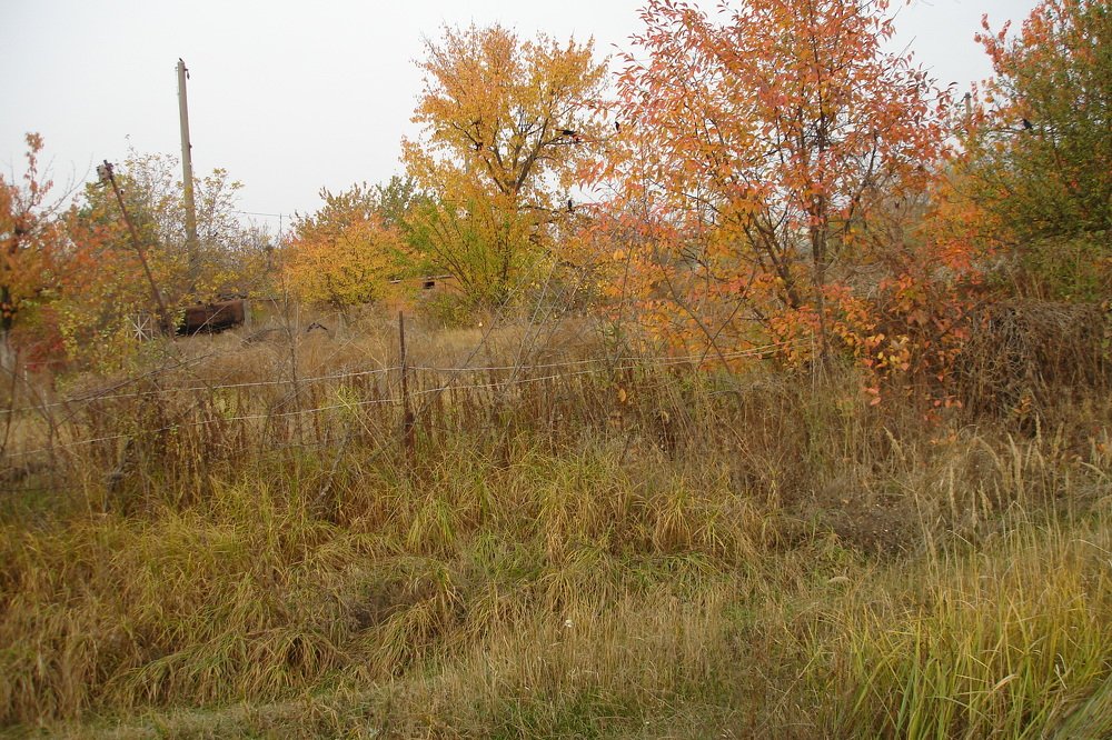 Photo #5371036