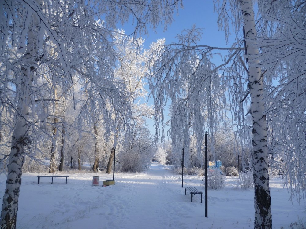 Photograph by Людмила Фризен