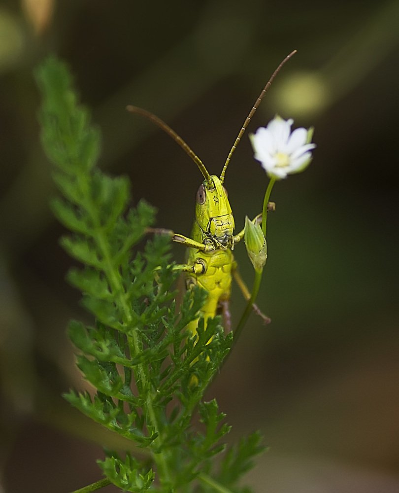 Photograph by Полина Васеева
