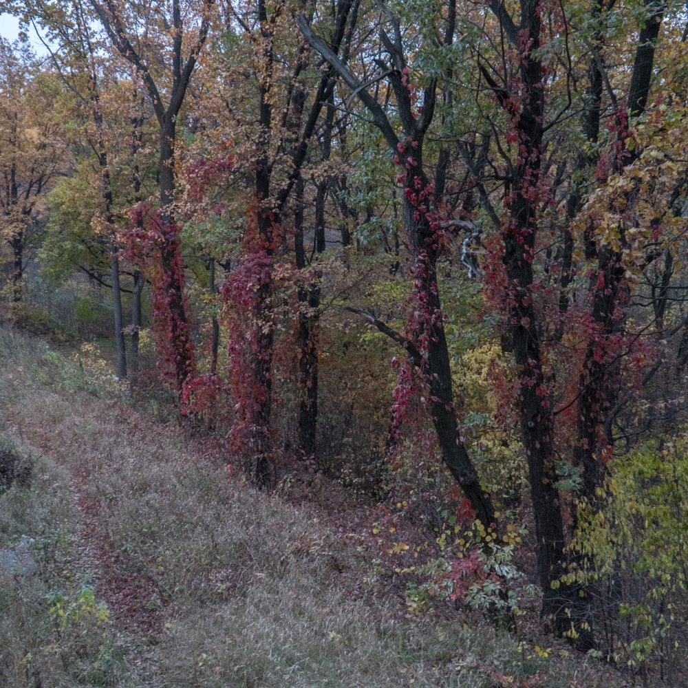 Photograph by Дмитрий Бельмаз