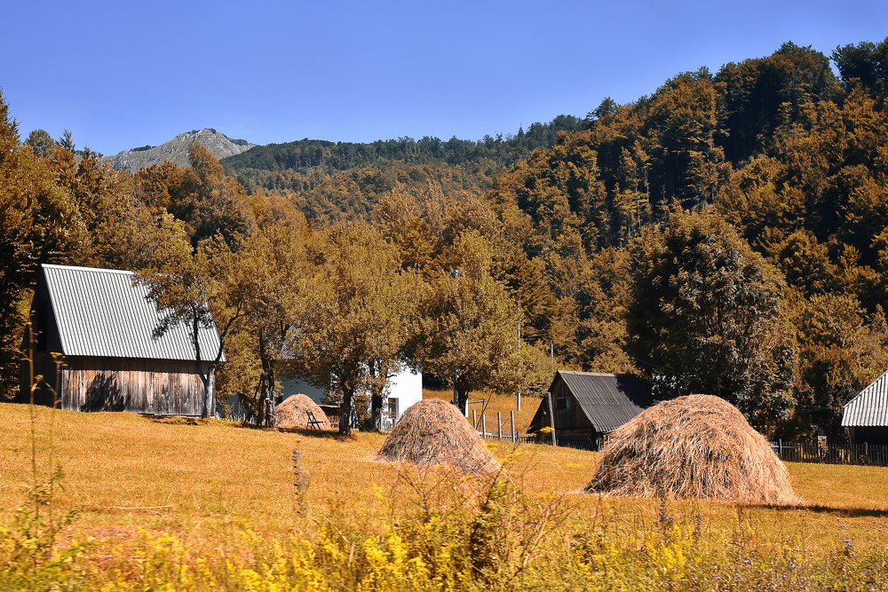 Photograph by Юлия Осипенко