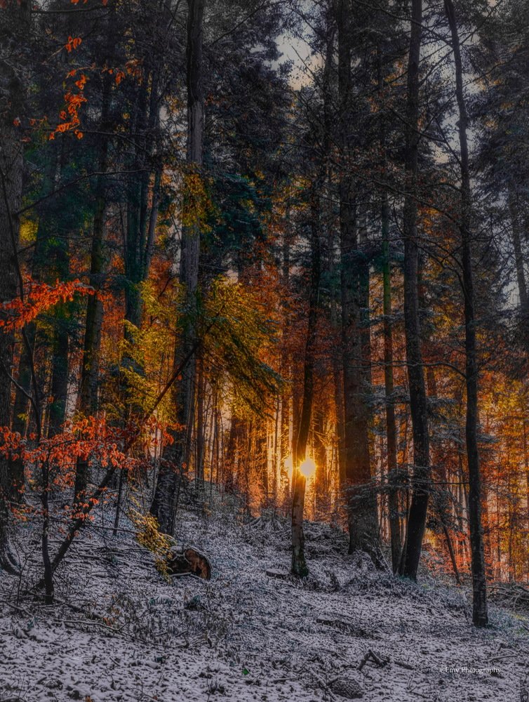 Фотография автора Leompescu Emanuel