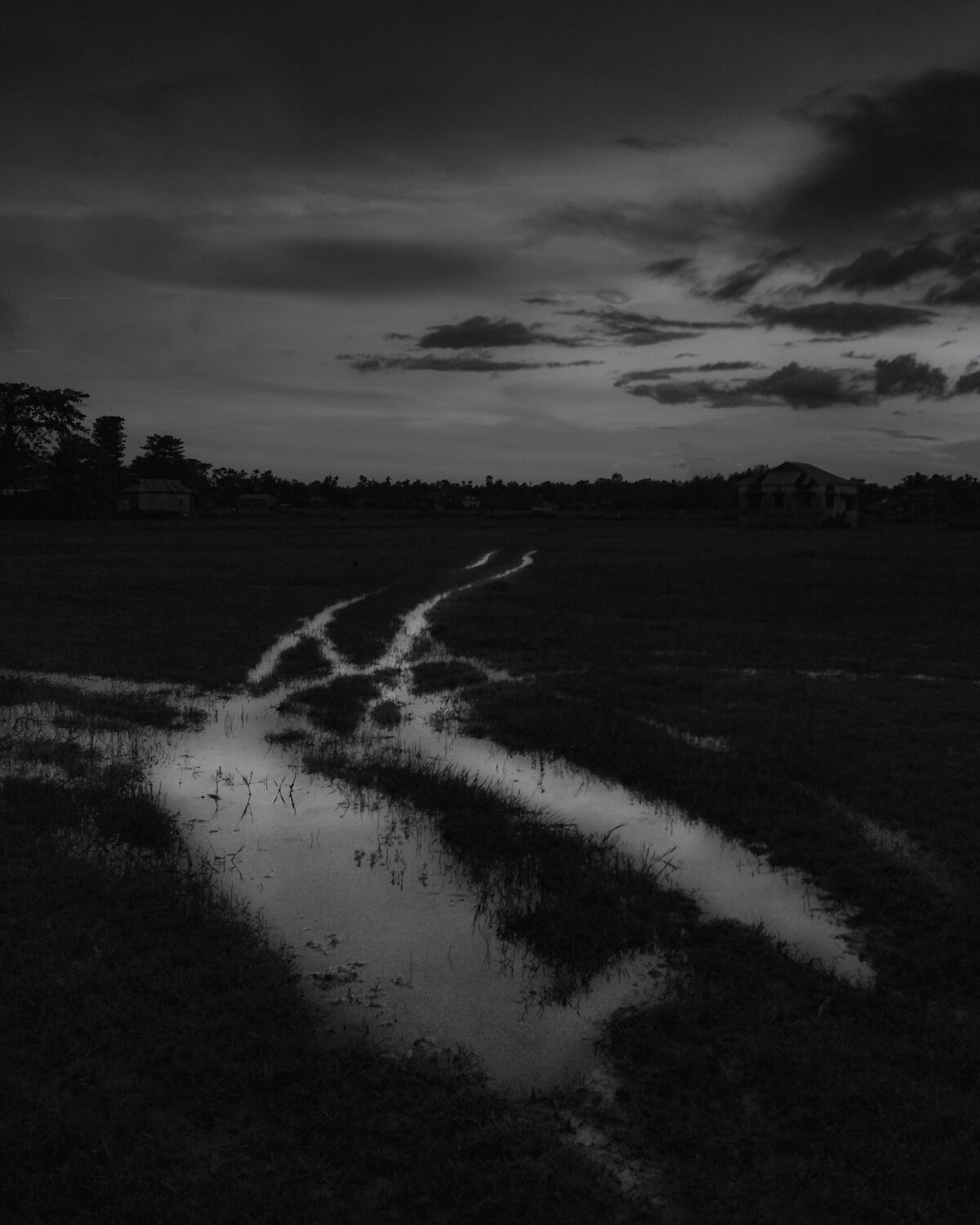 The Path