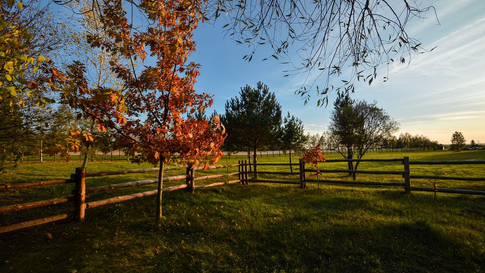 Вечерний свет