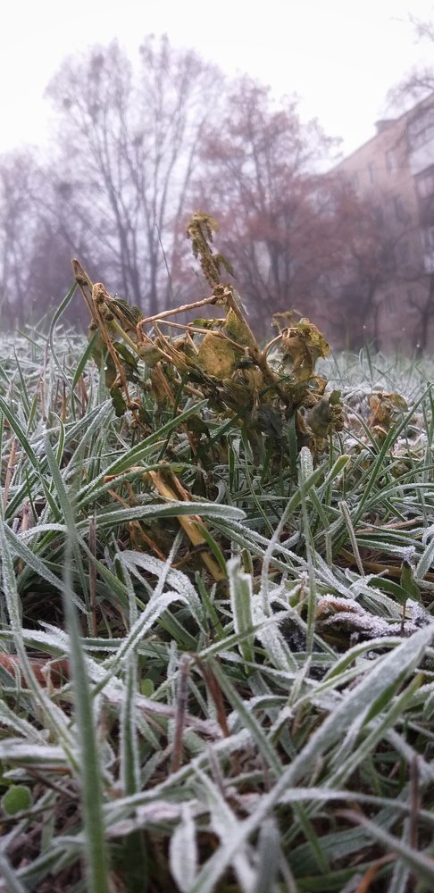 Фотография автора Оксана Зибзибадзе