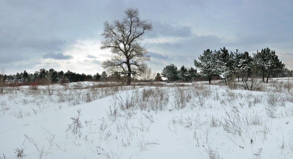 Photograph by Александр Штифман