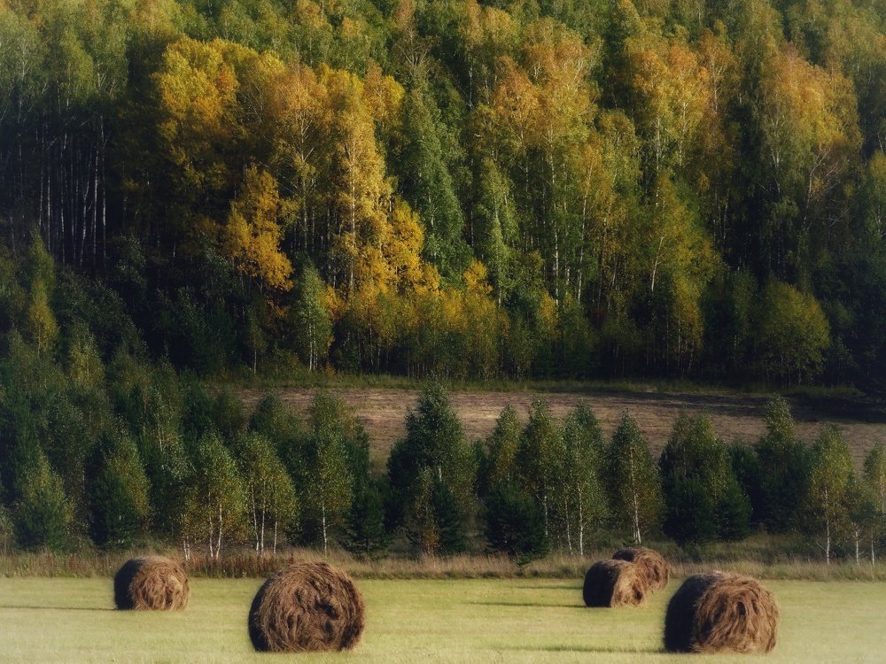 Photograph by Светлана Лехмус