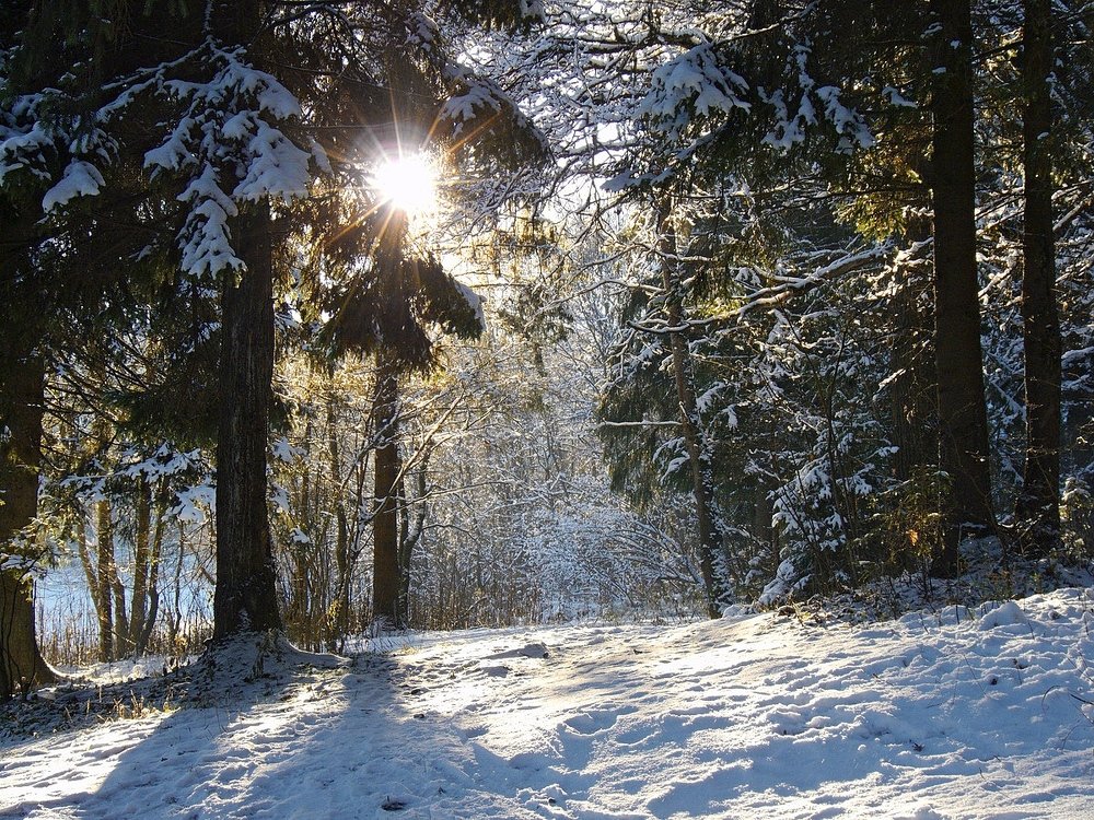 По дороге на источник...