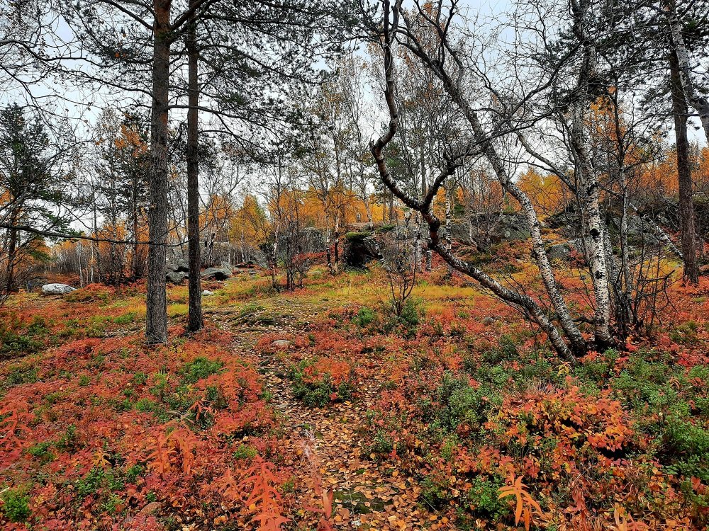Photograph by Светлана Лебедева