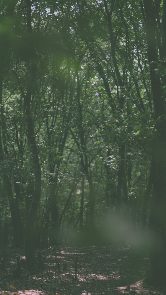 Photograph by Sajjad Mahdavi