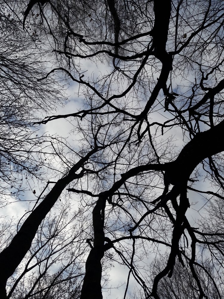 Photograph by Виктория Подрезова