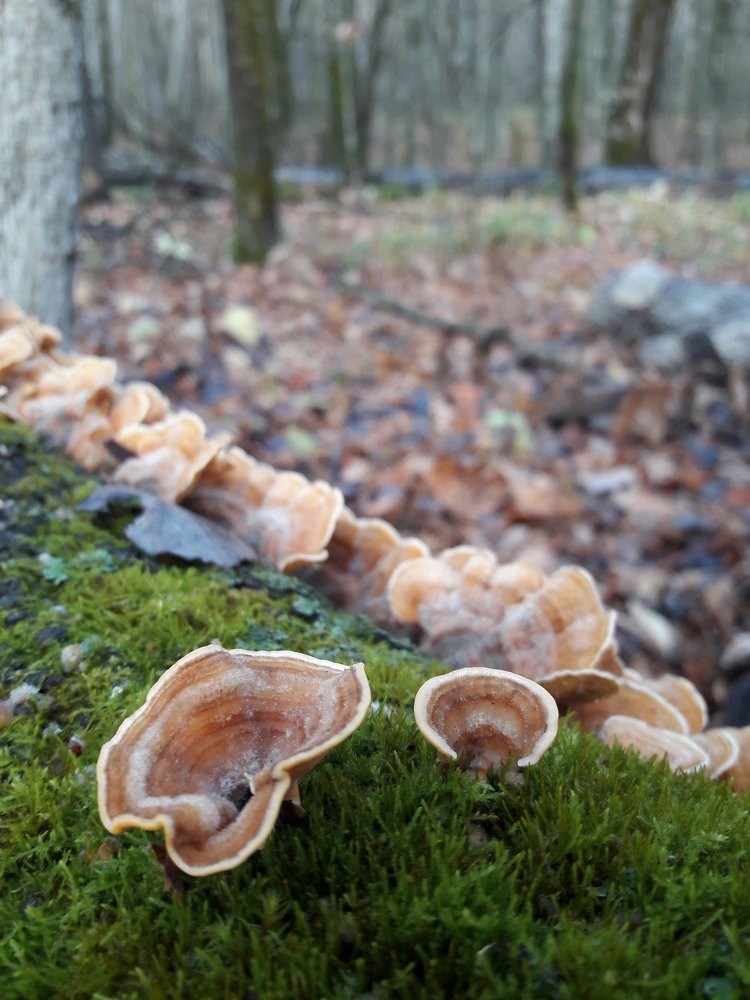 Photograph by Виктория Подрезова