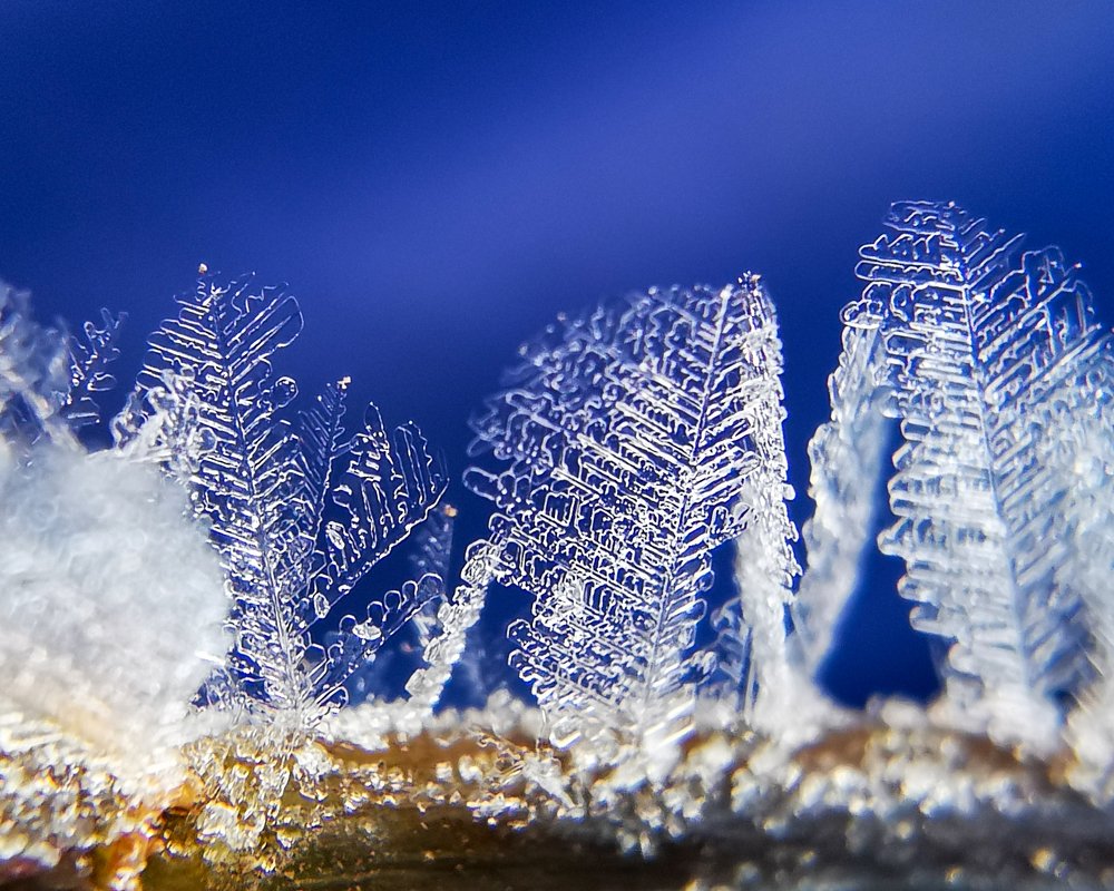 Фотография автора Наталья