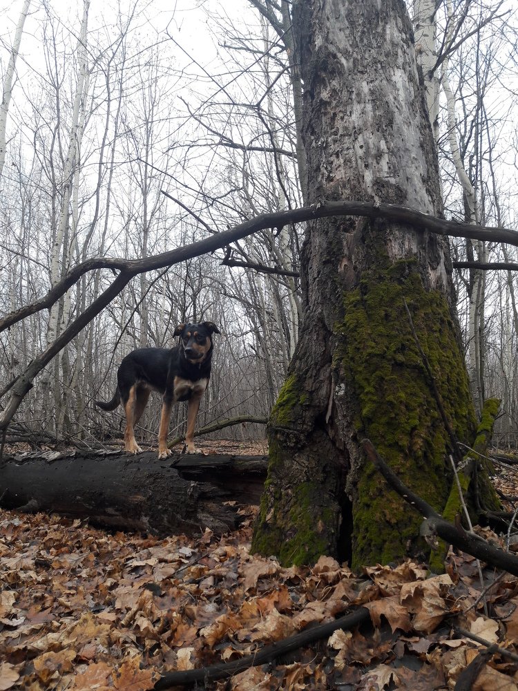 Photograph by Виктория Подрезова