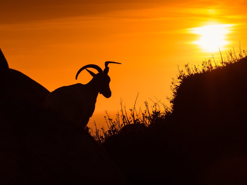 Photograph by Виталий Дорош