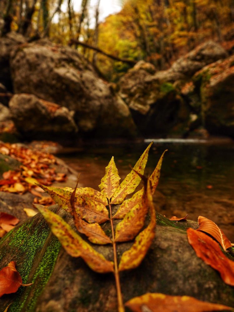 Photograph by Александра