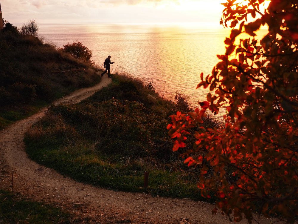 Photograph by Александра