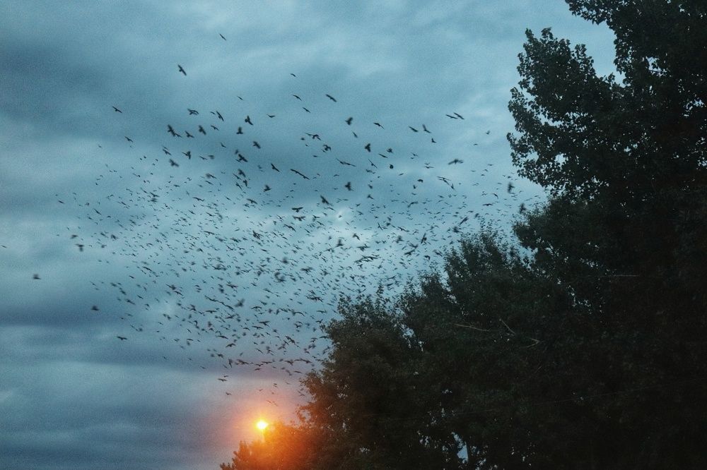 Photograph by Наталья Лыкова