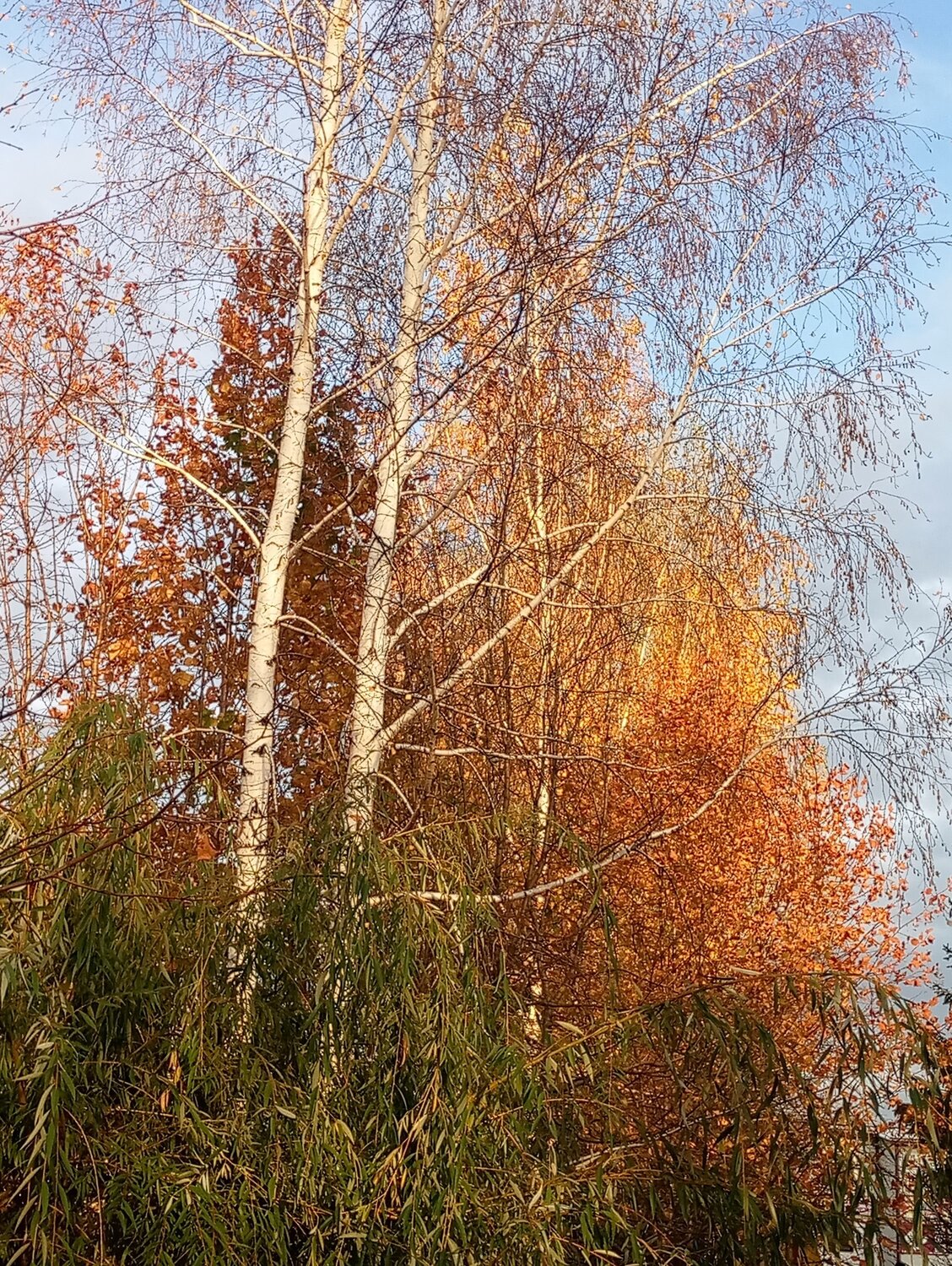 Краски осени