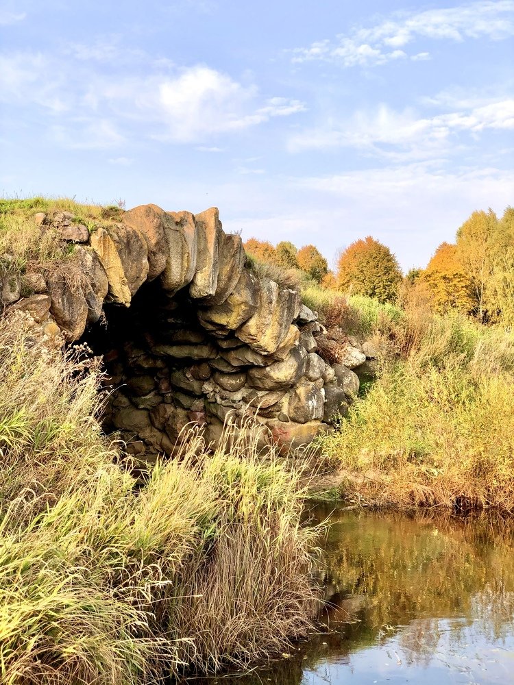 Краски осени