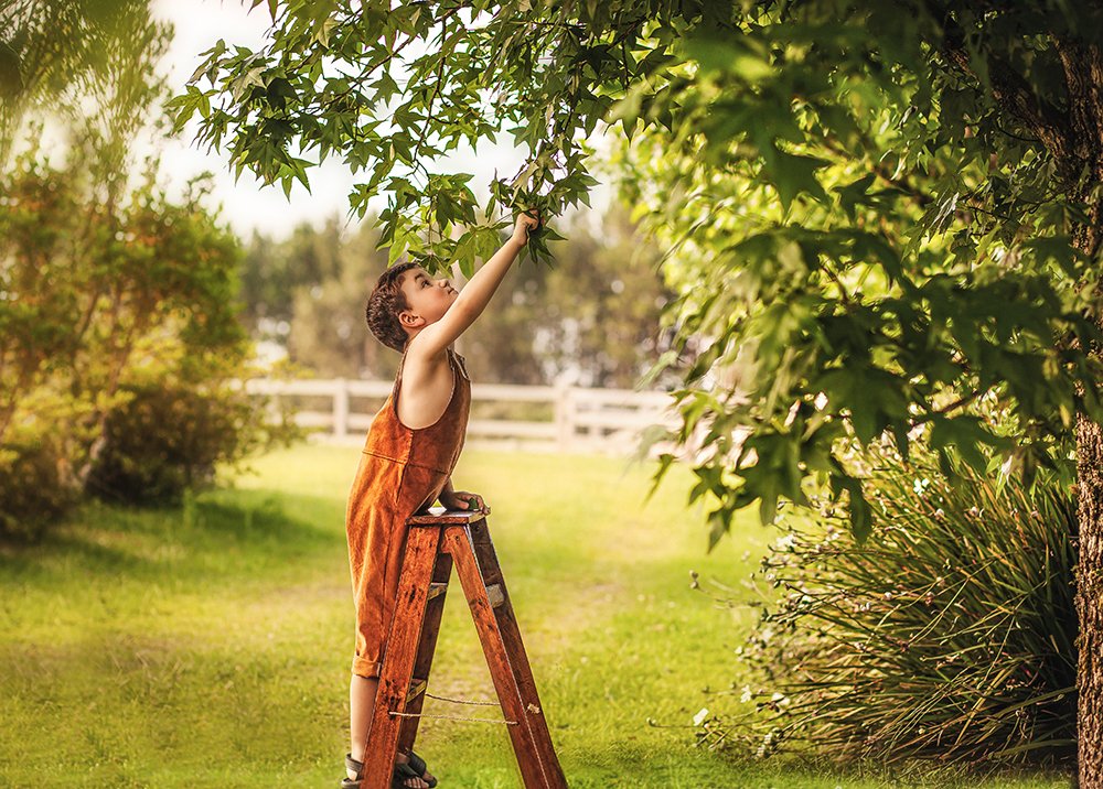 Photograph by Viviane Bachega