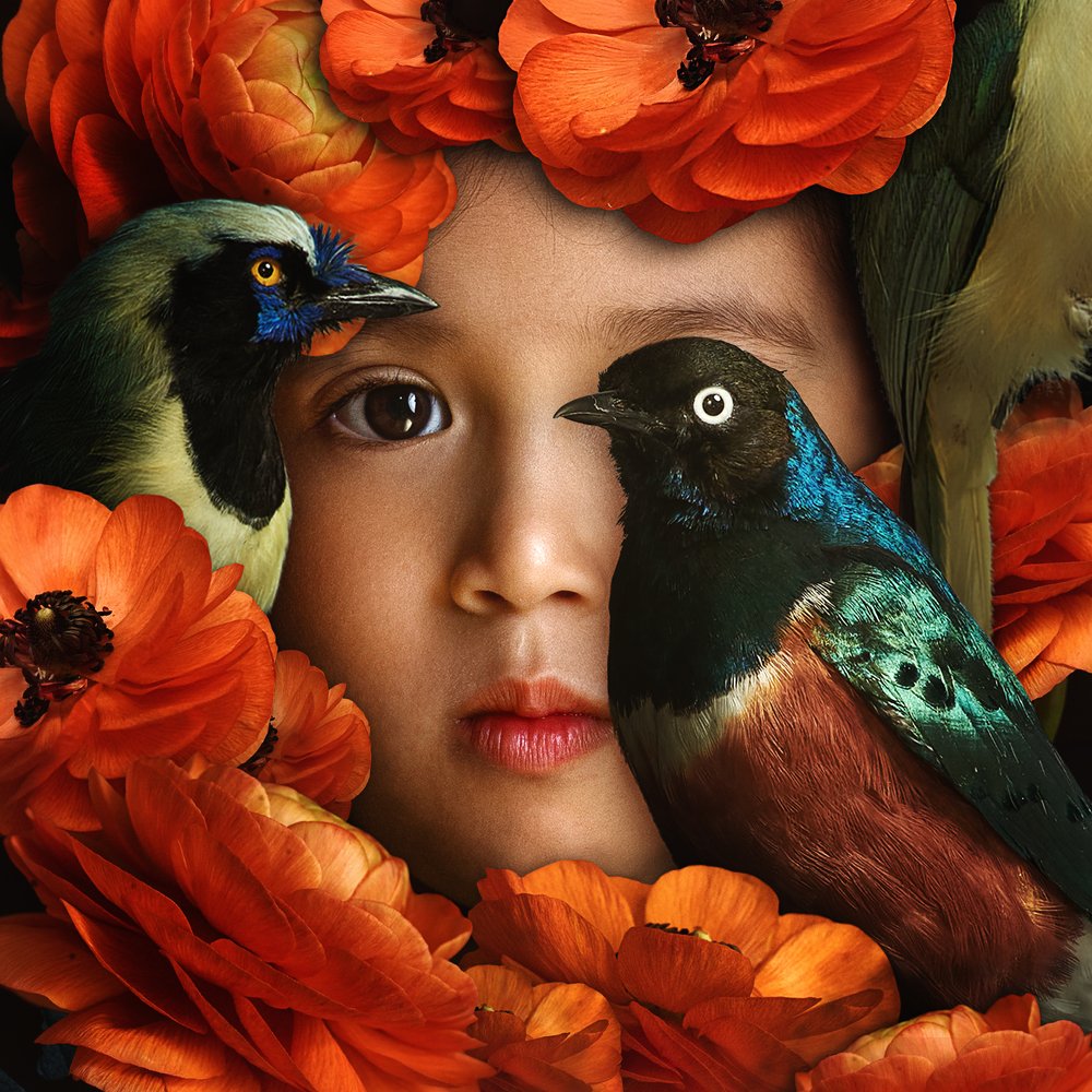 Photograph by Hai Yen Nguyen