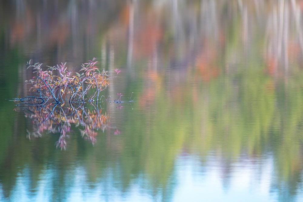 Photograph by Светлана Ржевская