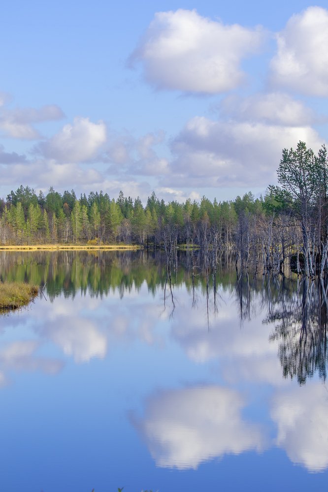 Photograph by Светлана Ржевская