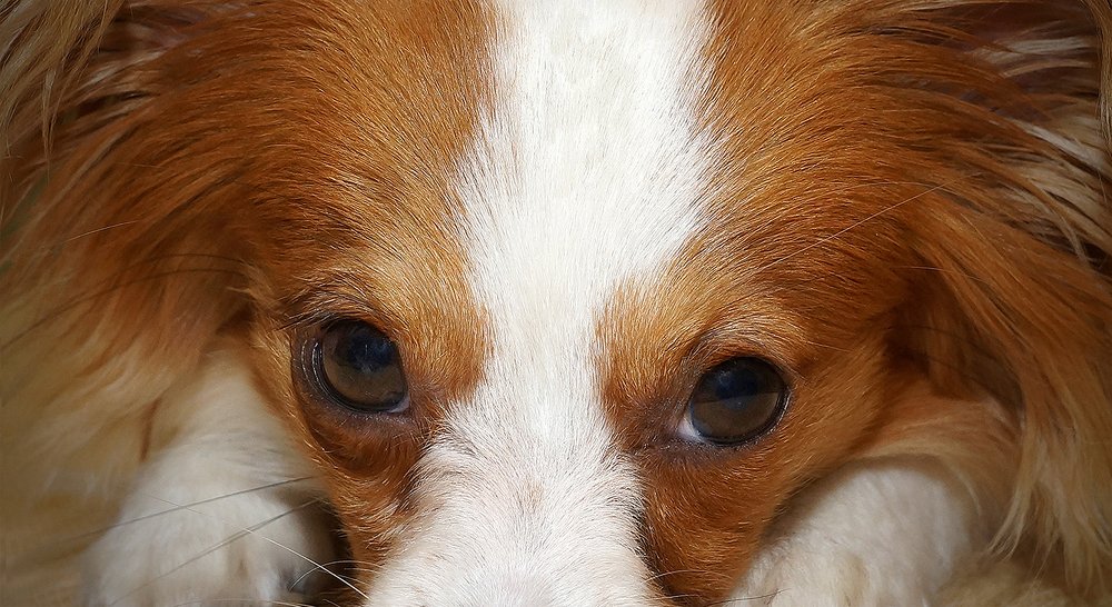 Photograph by Анатолий Максимов