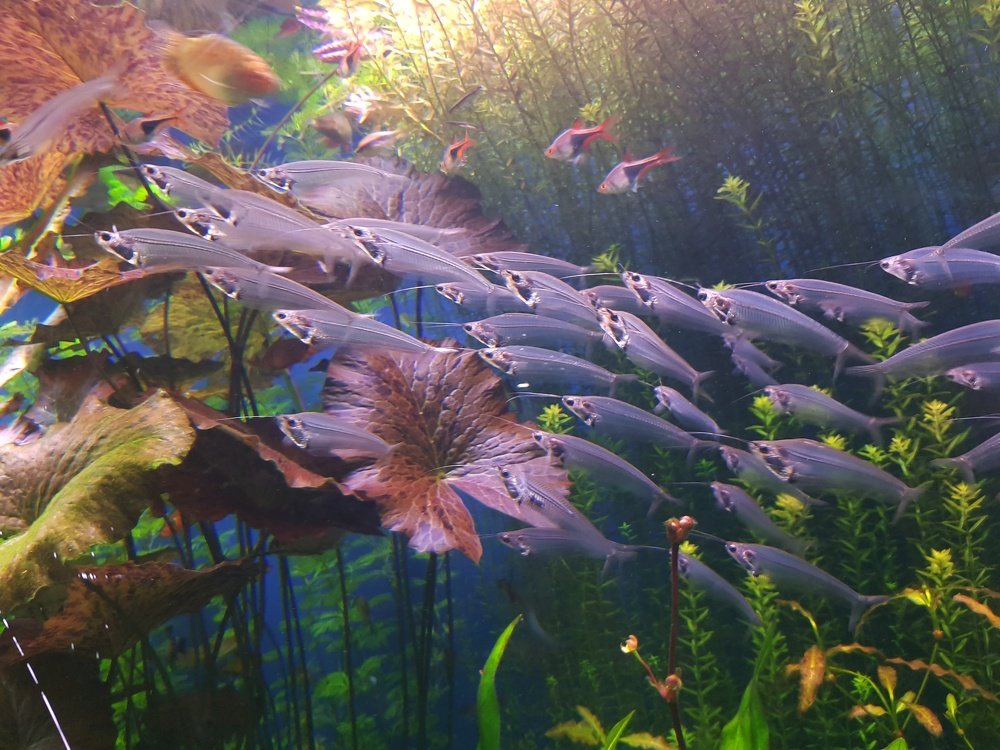 Photograph by Ольга Пумочка-13