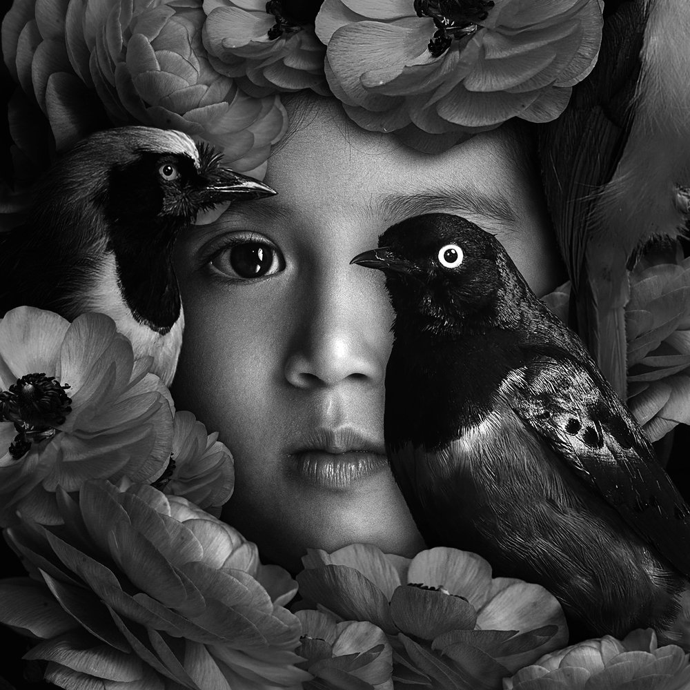 Photograph by Hai Yen Nguyen