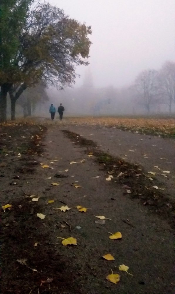 Идущие сквозь туман...