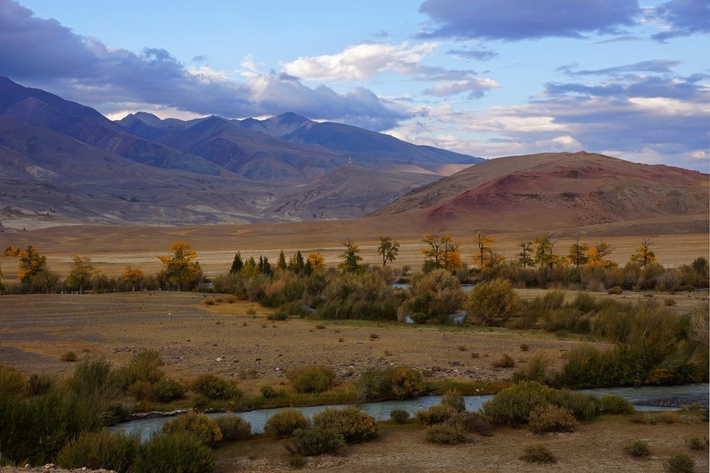 Первые шаги осени....