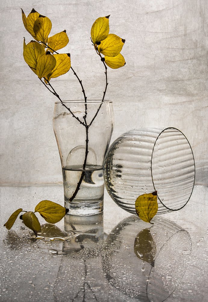 Photograph by Виктория Солодар