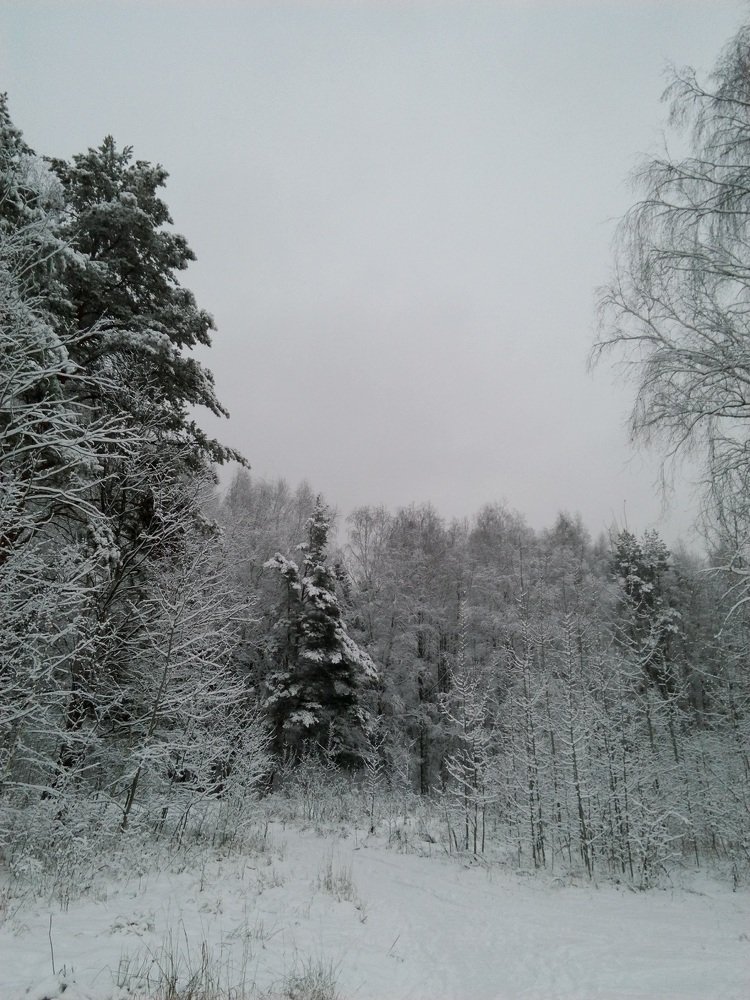 Photograph by Светлана Смердова