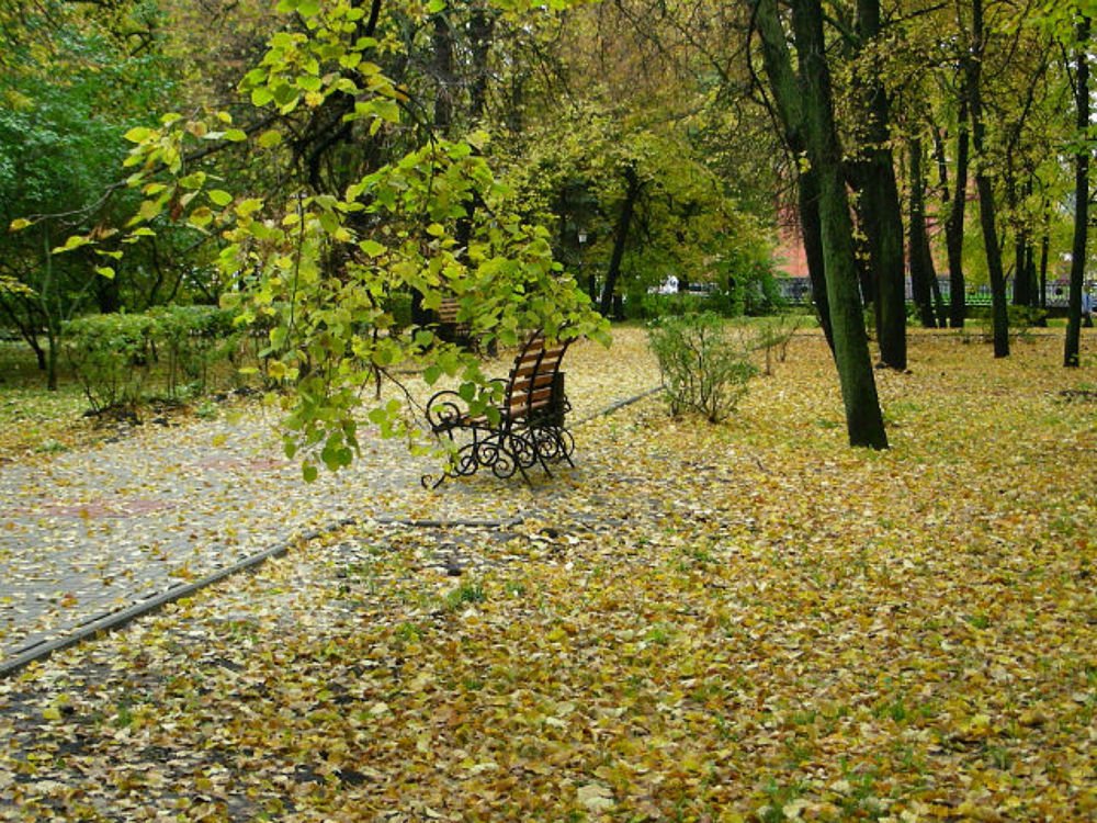 В осеннем парке...