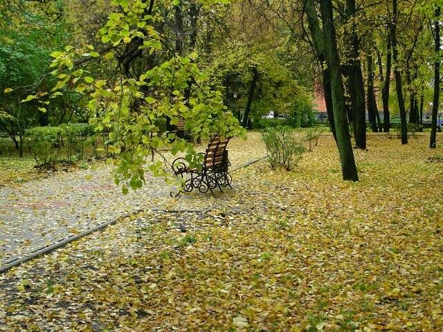 В осеннем парке...