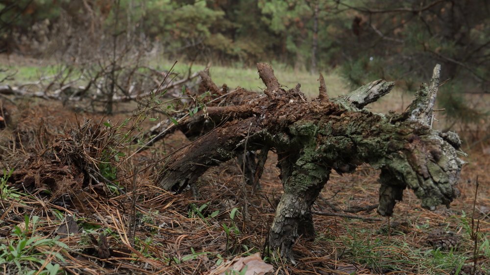 Photograph by Татьяна Маринич