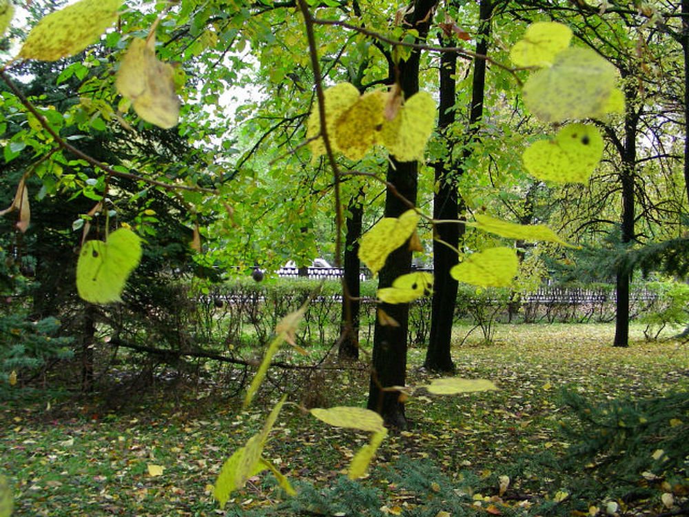 Photograph by Любовь Карташова
