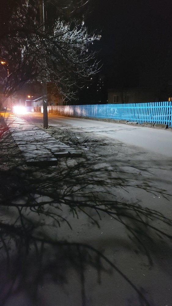 Photograph by ЭЛЬМИРА  ИСМАИЛОВА