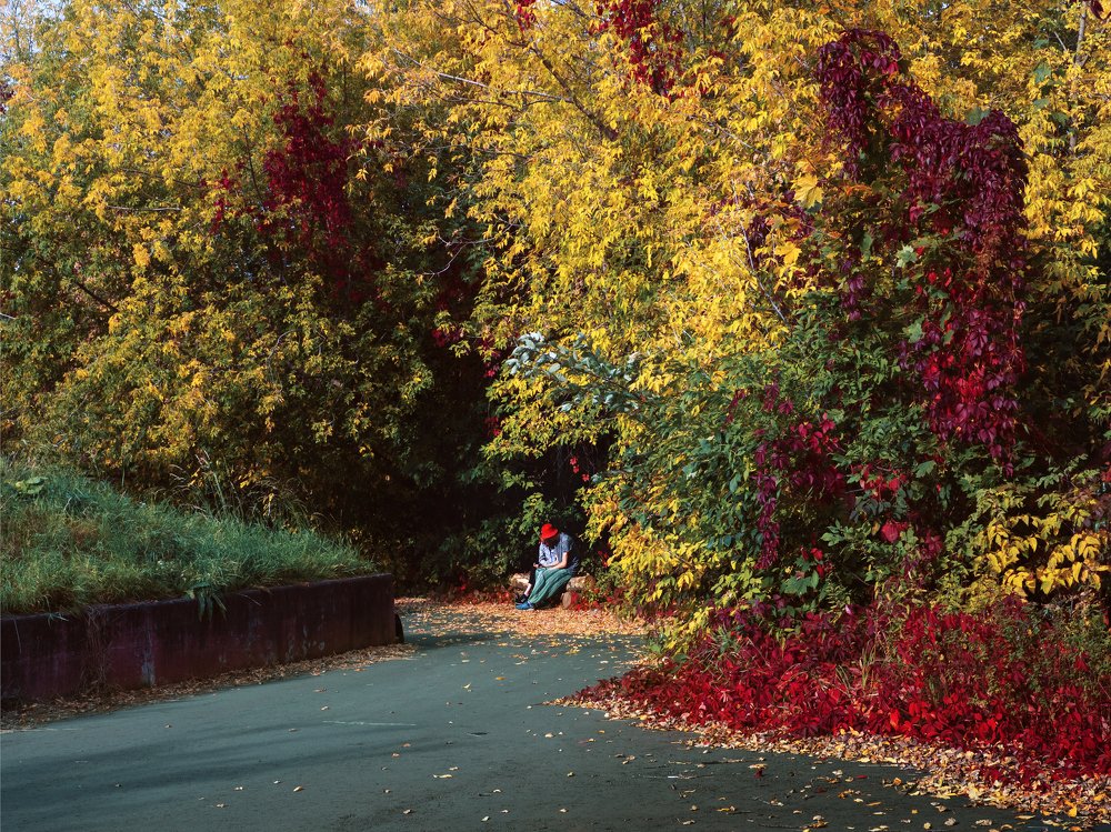 Photograph by Елена Ржевская